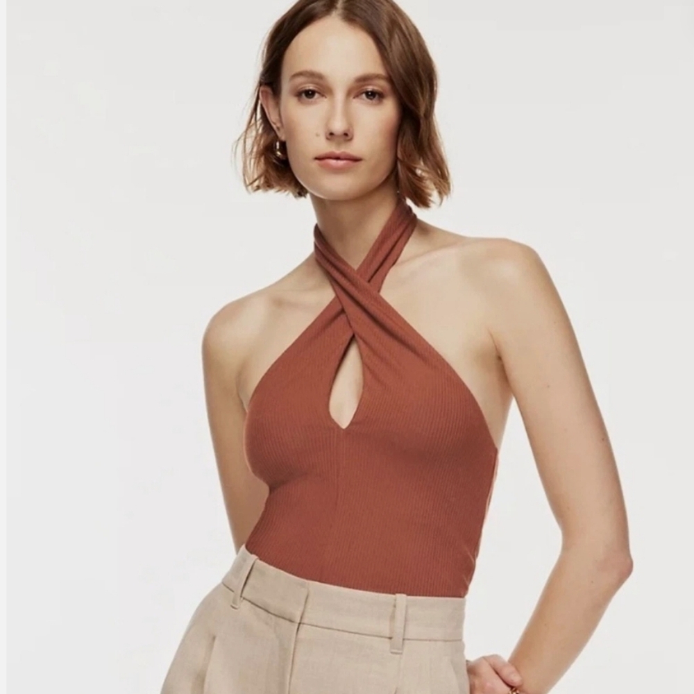 ARITZIA Wilfred Free Bay Top In Brown